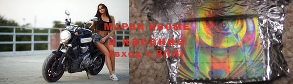 хмурый Абаза