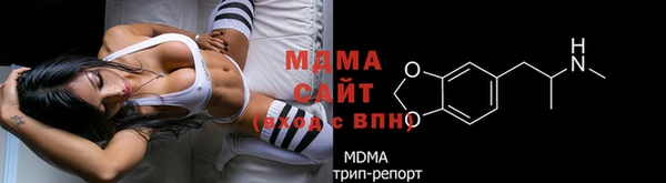 СК Пересвет