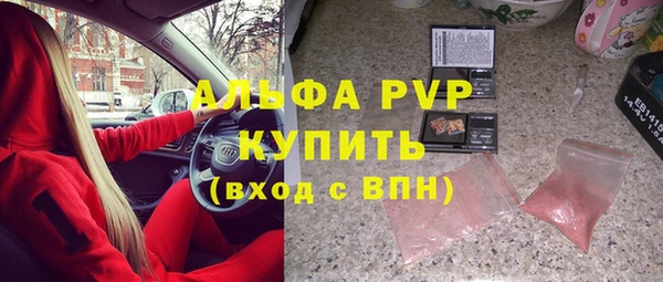 хмурый Абаза