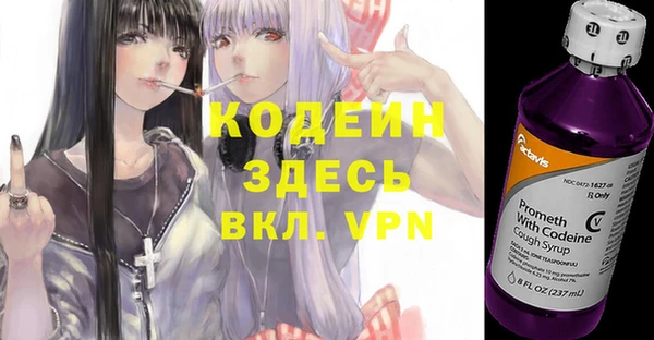 хмурый Абаза