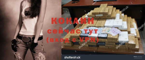 хмурый Абаза