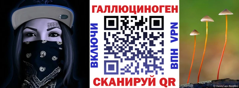 Псилоцибиновые грибы Psilocybine cubensis Подпорожье